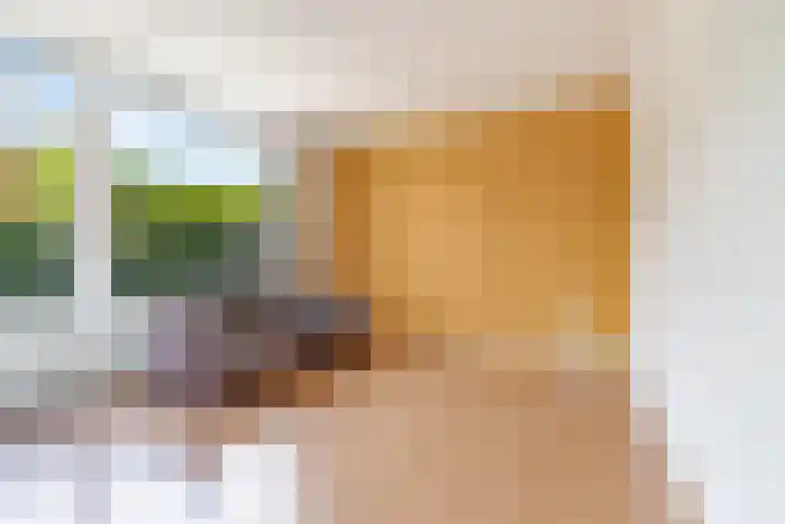 Lavastraat 44 't Harde thumbnail 7