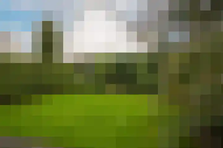 Lavasveld 74 Veghel thumbnail 34