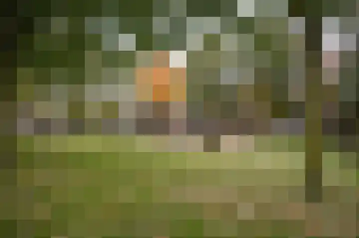 Lavasveld 74 Veghel thumbnail 39