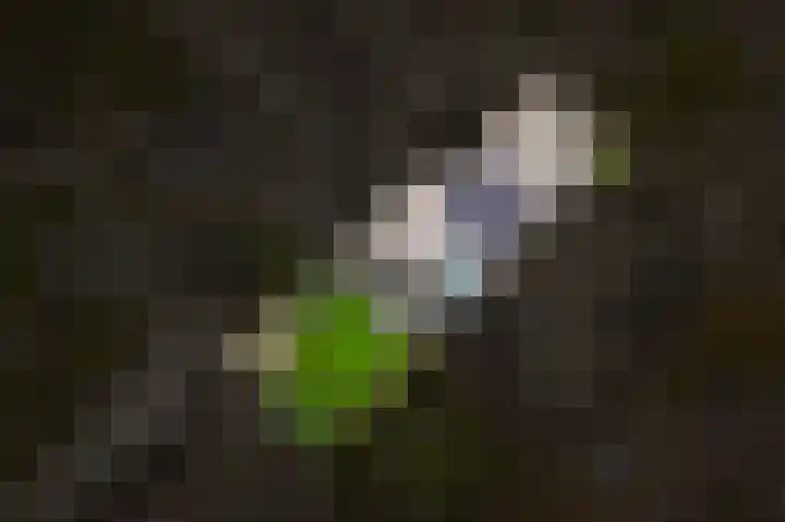 Lavasveld 74 Veghel thumbnail 40