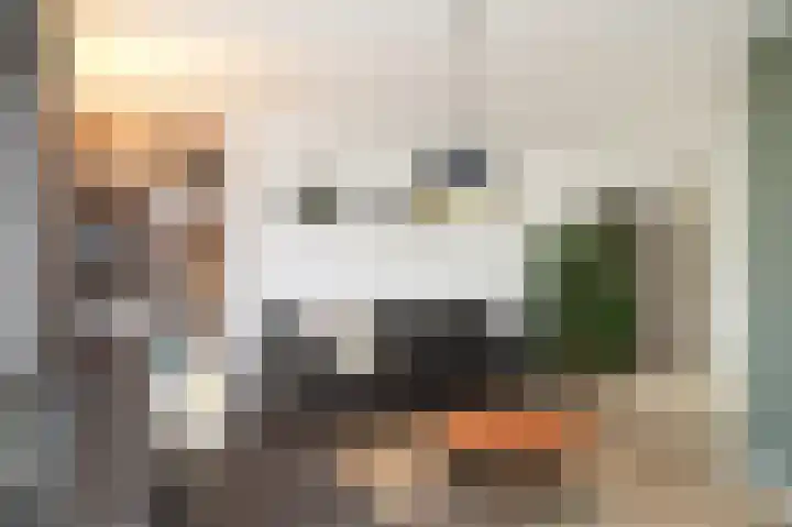 Lavasveld 74 Veghel thumbnail 6