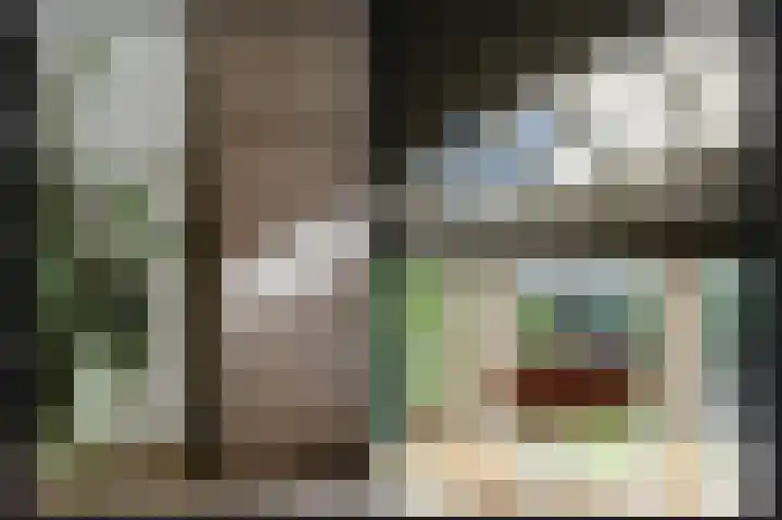 Lavasveld 74 Veghel thumbnail 8
