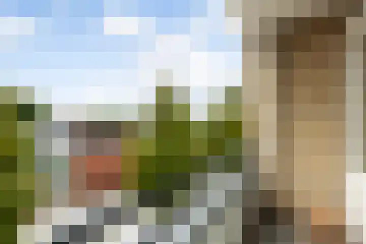 Lavasweg 57 Hoogvliet Rotterdam thumbnail 14