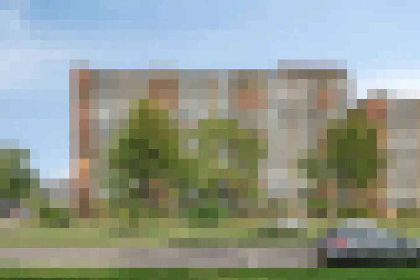 Laveibos 138 Zoetermeer thumbnail 29