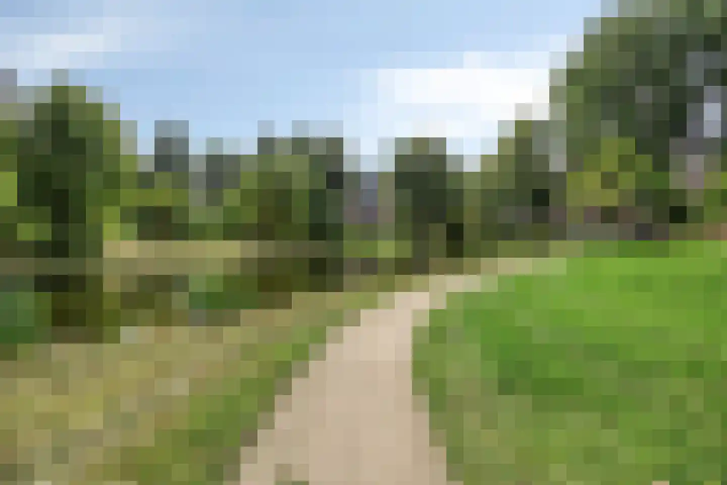 Laveibos 138 Zoetermeer thumbnail 30