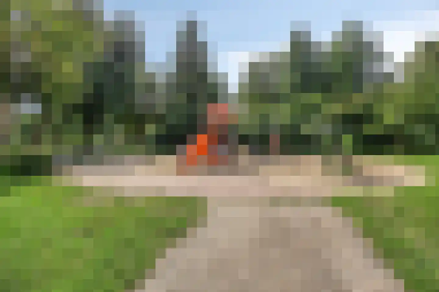 Laveibos 138 Zoetermeer thumbnail 32