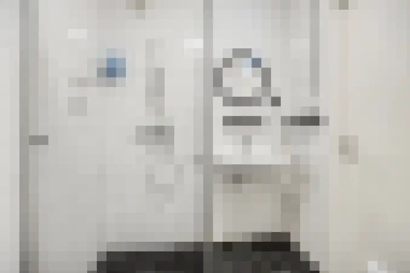 Laveibos 138 Zoetermeer thumbnail 6