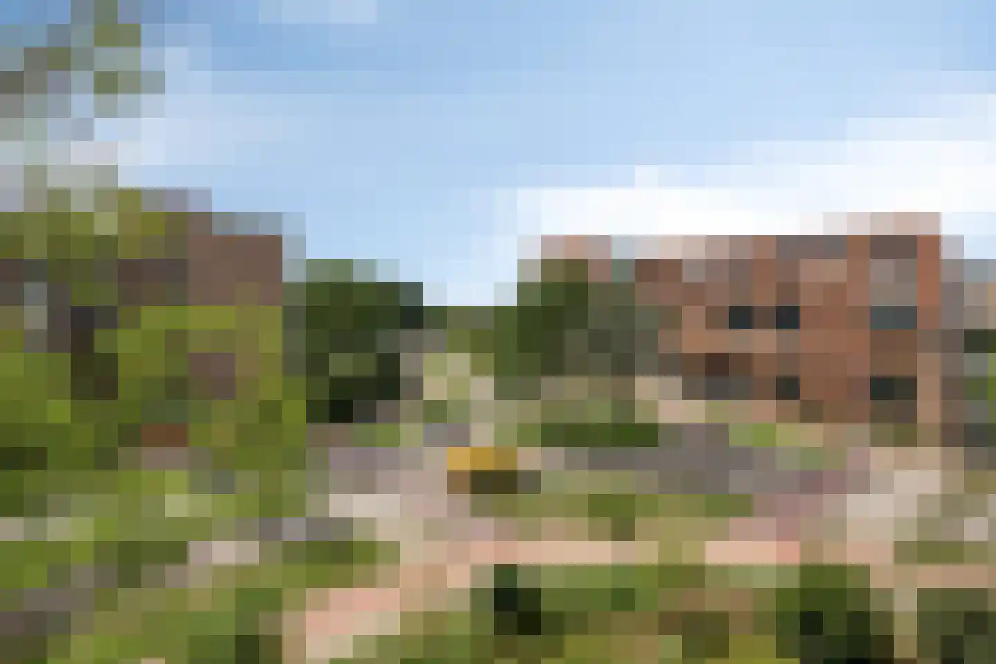 Laveibos 138 Zoetermeer thumbnail 7