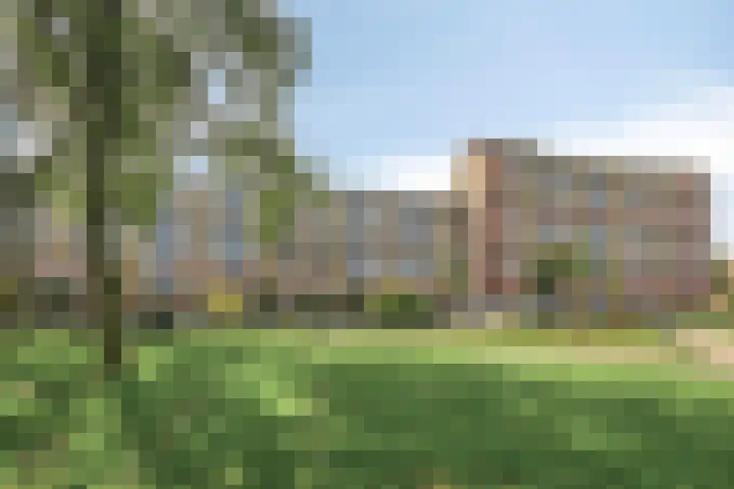 Laveibos 138 Zoetermeer thumbnail 8