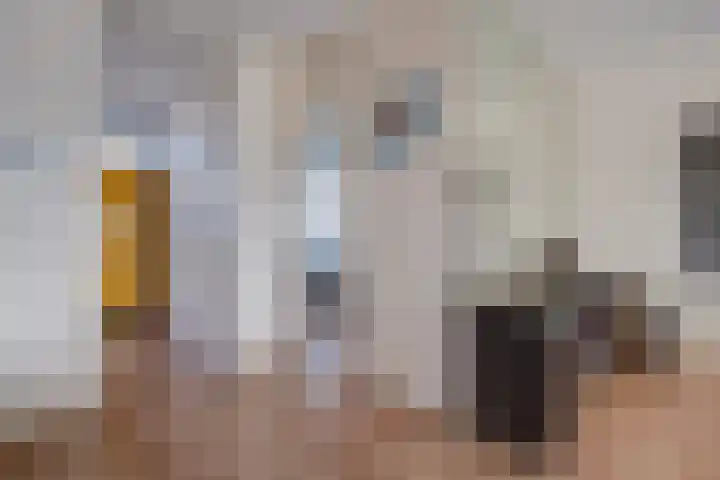 Laveibos 155 Zoetermeer thumbnail 11