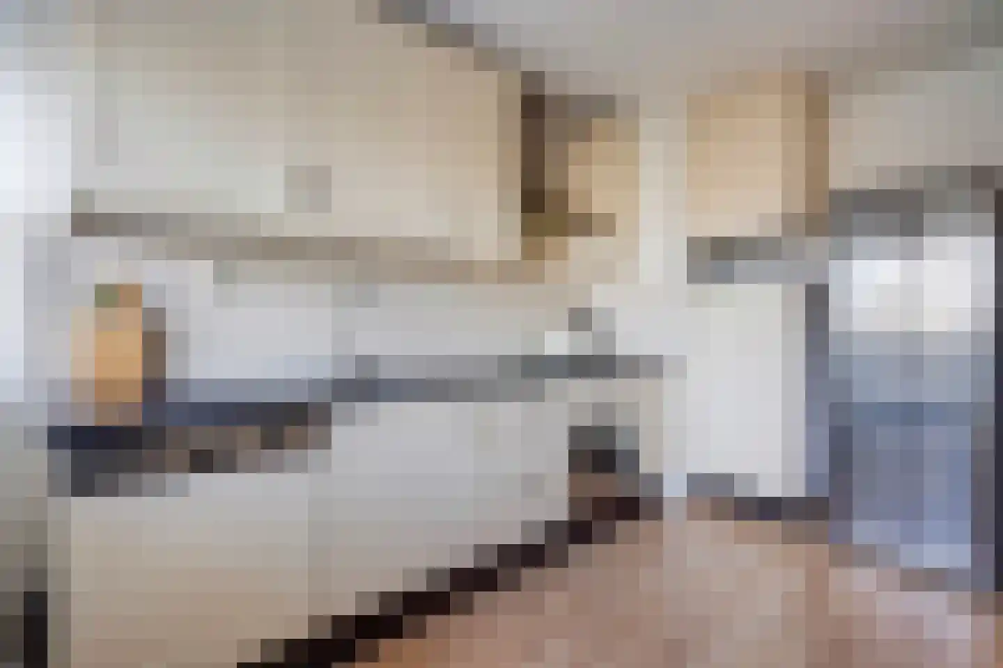 Laveibos 155 Zoetermeer thumbnail 12