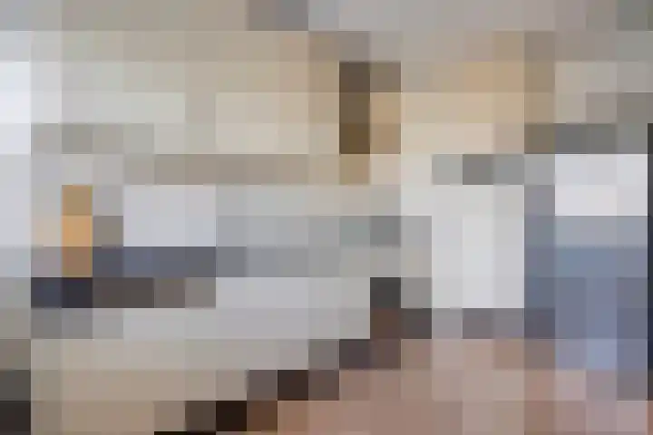 Laveibos 155 Zoetermeer thumbnail 12