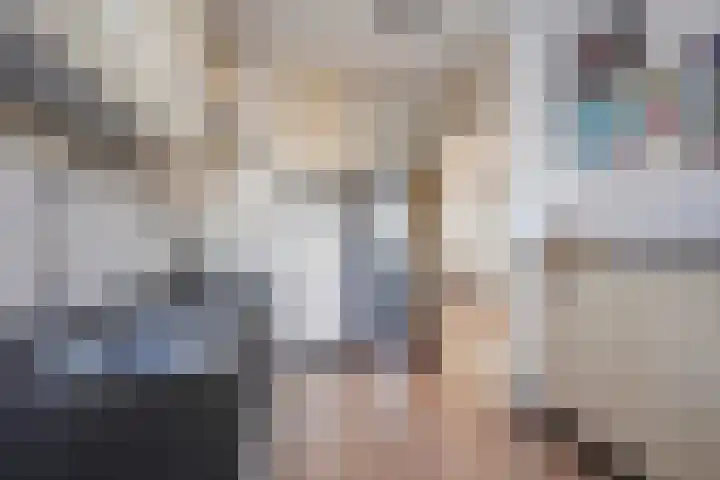 Laveibos 155 Zoetermeer thumbnail 14