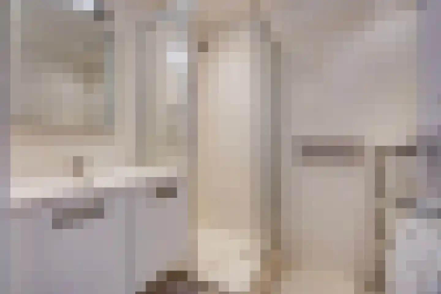 Laveibos 155 Zoetermeer thumbnail 25