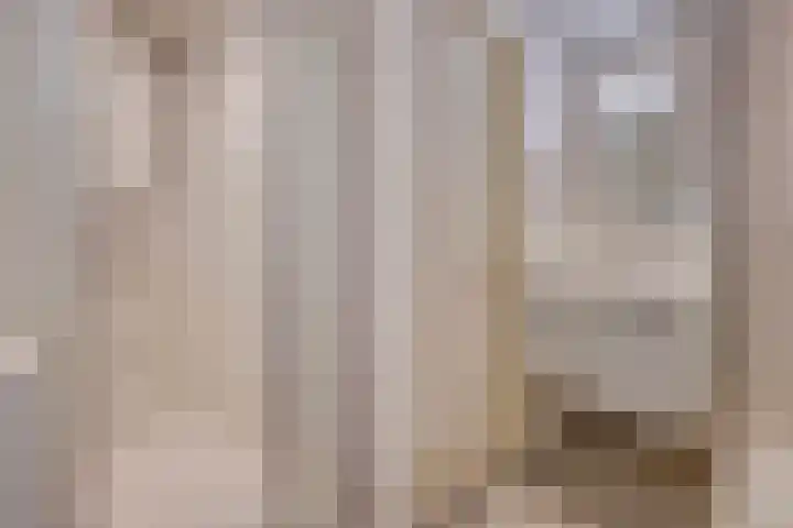 Laveibos 155 Zoetermeer thumbnail 26