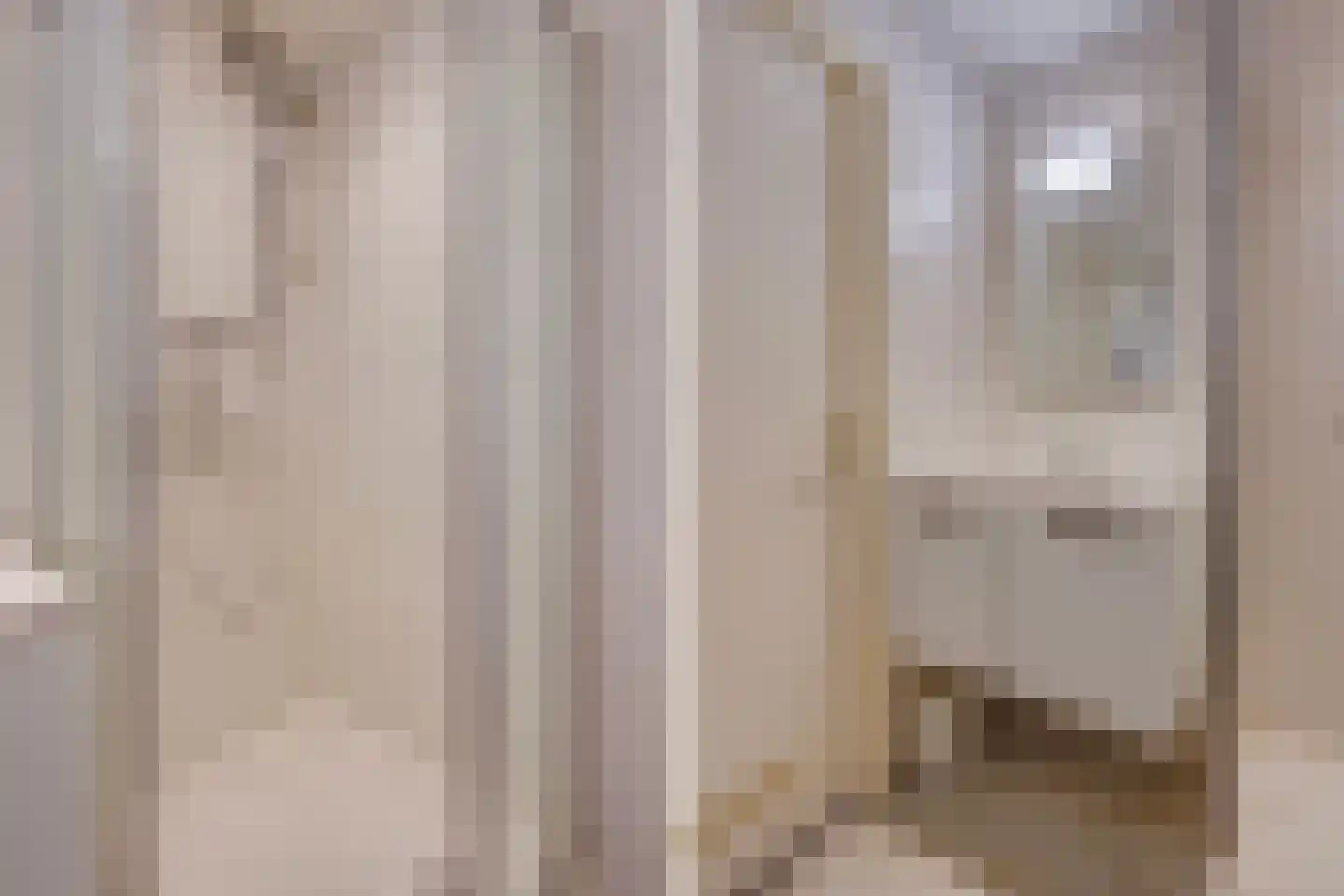 Laveibos 155 Zoetermeer thumbnail 26
