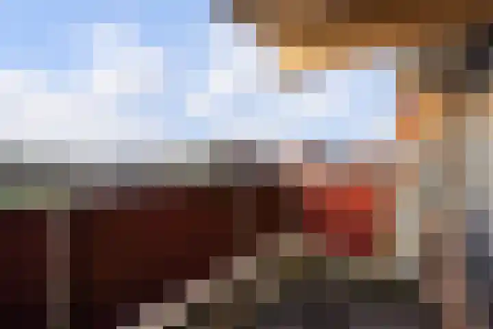 Laveibos 155 Zoetermeer thumbnail 29