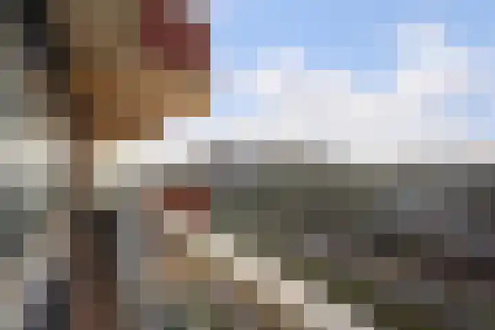 Laveibos 155 Zoetermeer thumbnail 30