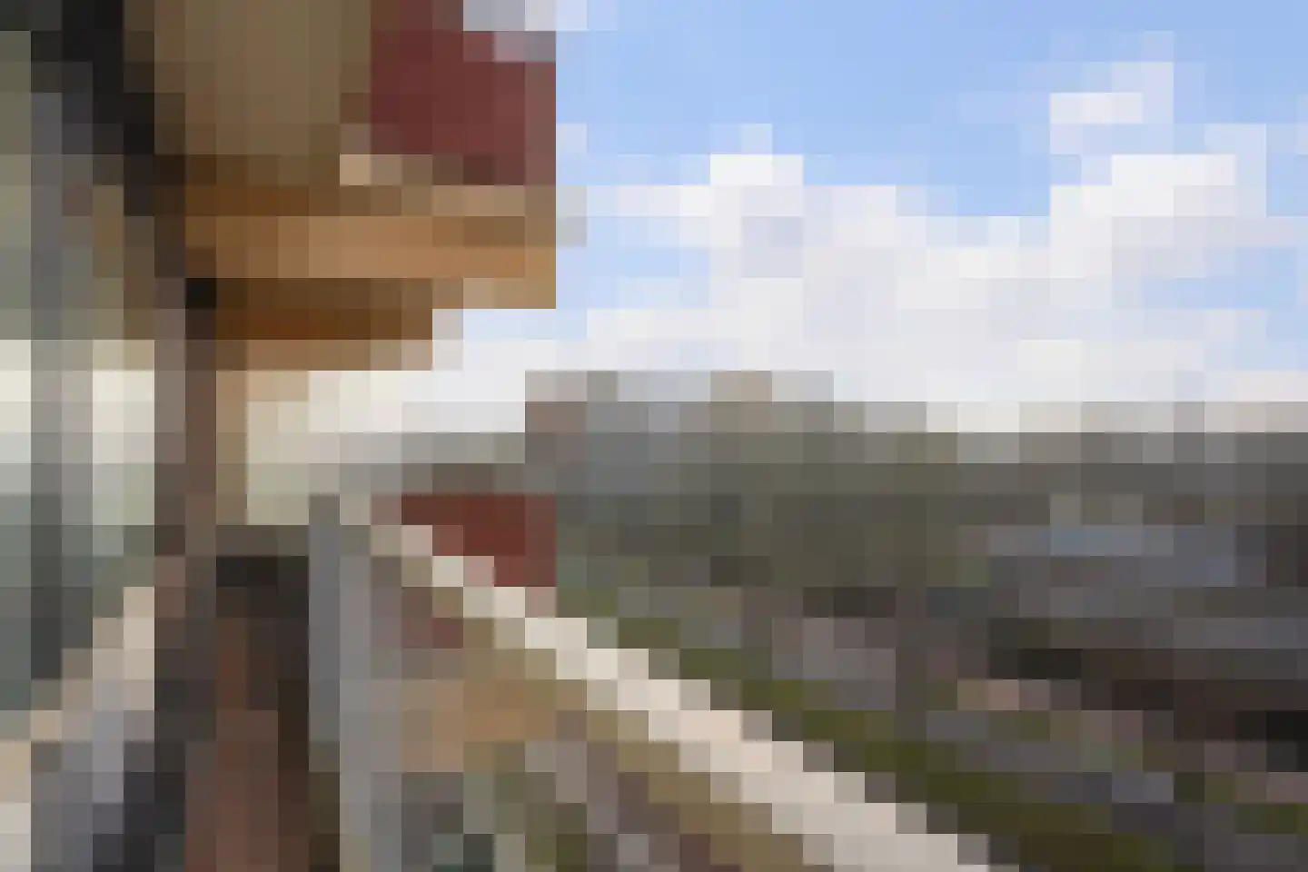 Laveibos 155 Zoetermeer thumbnail 30