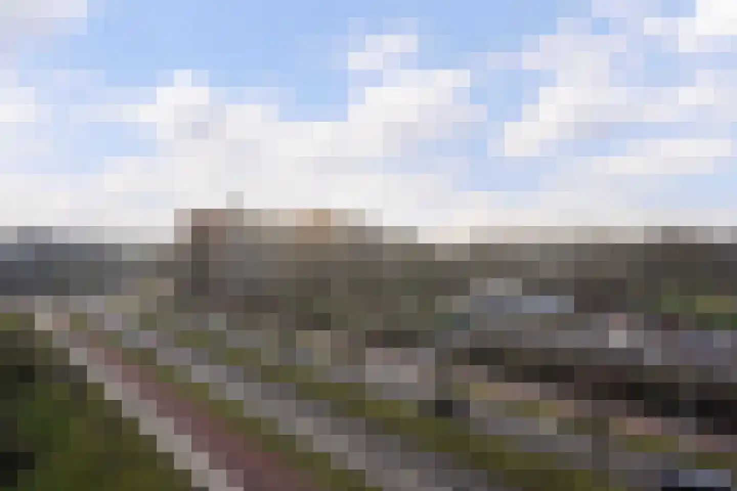 Laveibos 155 Zoetermeer thumbnail 31
