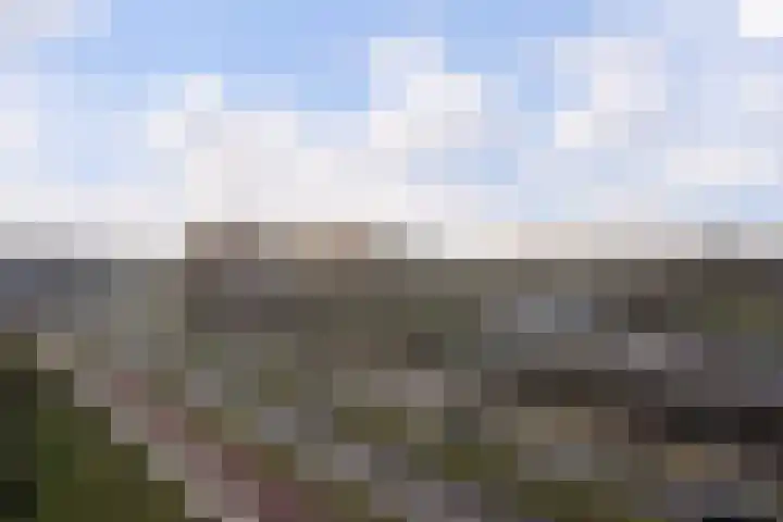 Laveibos 155 Zoetermeer thumbnail 31