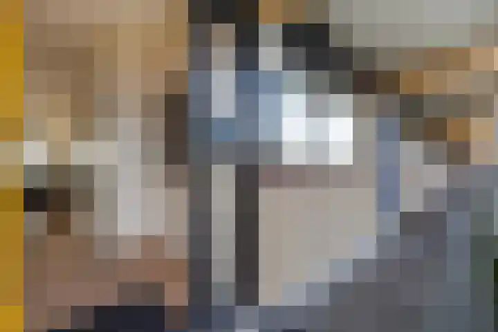 Laveibos 155 Zoetermeer thumbnail 32