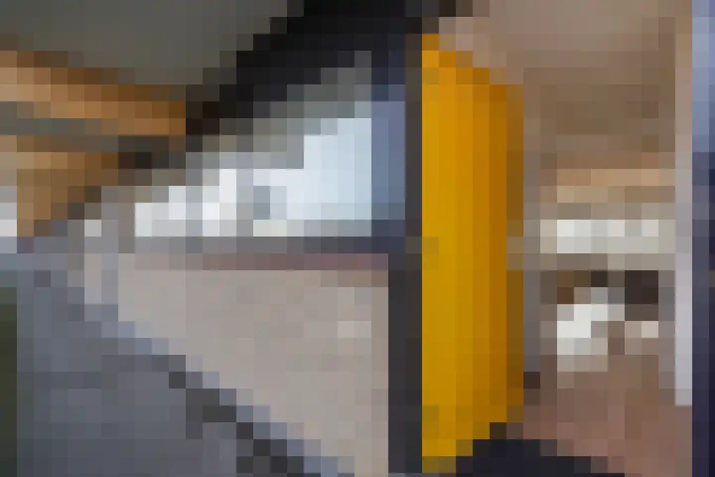 Laveibos 155 Zoetermeer thumbnail 33