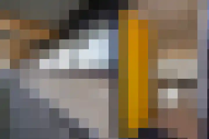 Laveibos 155 Zoetermeer thumbnail 33