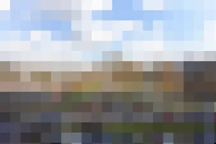 Laveibos 155 Zoetermeer thumbnail 35
