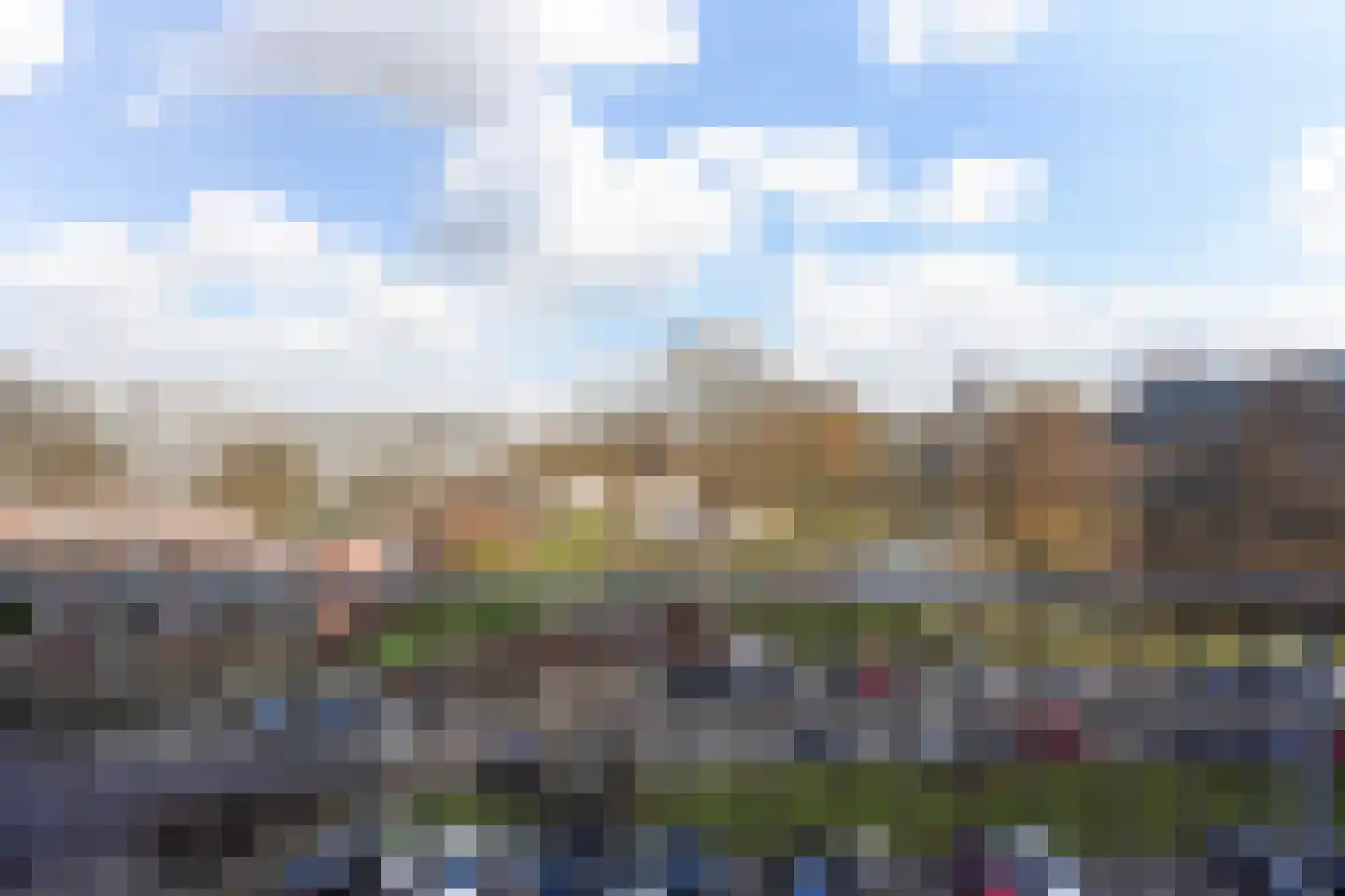 Laveibos 155 Zoetermeer thumbnail 35