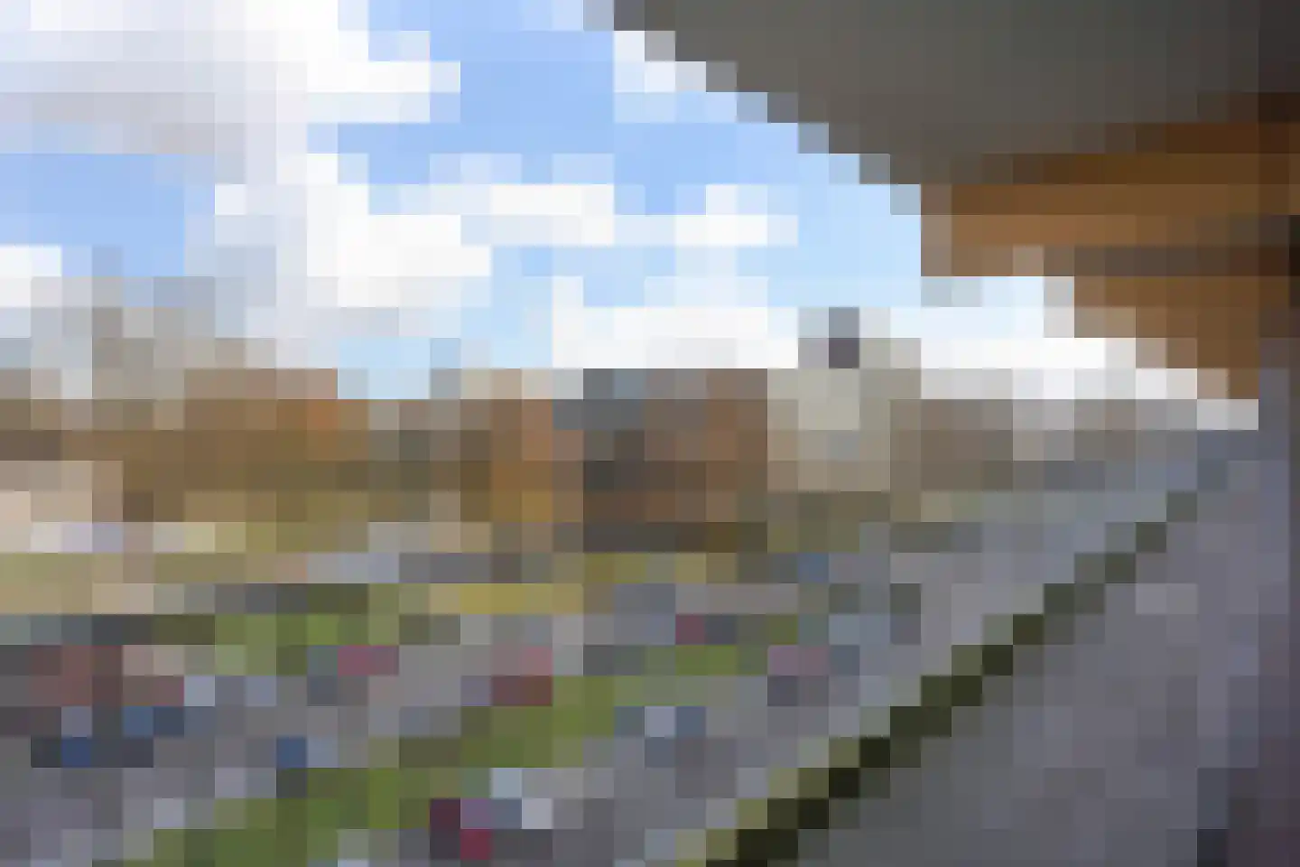 Laveibos 155 Zoetermeer thumbnail 36