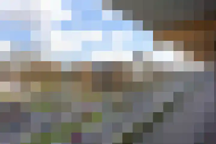Laveibos 155 Zoetermeer thumbnail 36