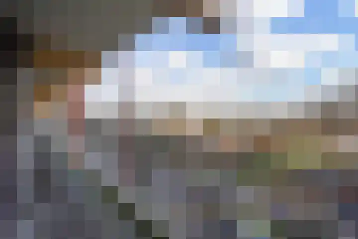 Laveibos 155 Zoetermeer thumbnail 37