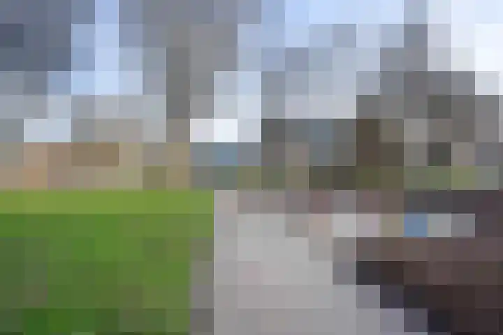 Laveibos 155 Zoetermeer thumbnail 38