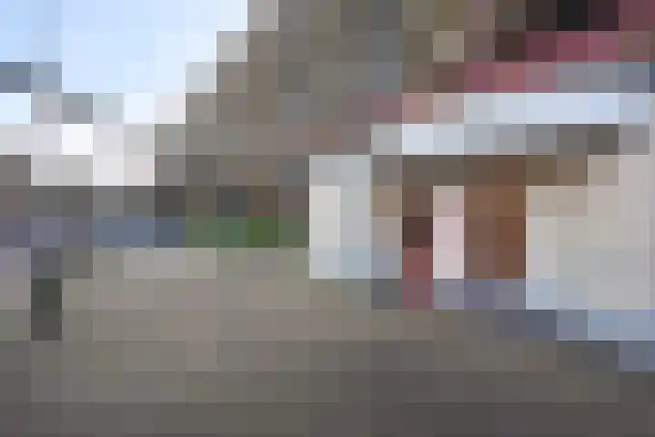Laveibos 155 Zoetermeer thumbnail 39