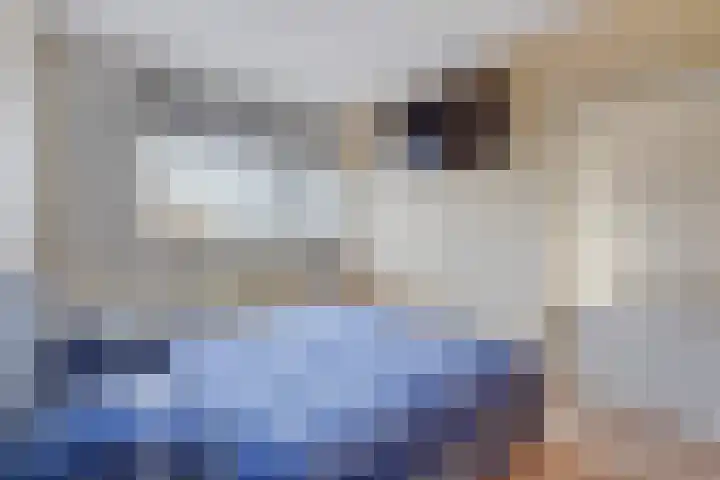 Laveibos 155 Zoetermeer thumbnail 4