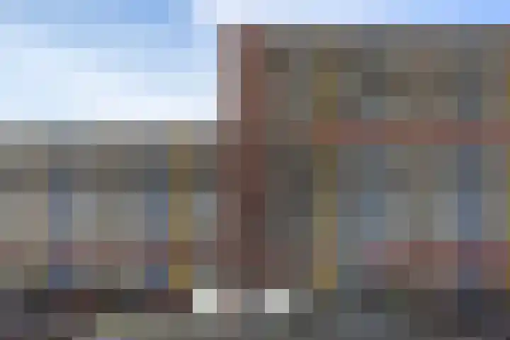 Laveibos 155 Zoetermeer thumbnail 40