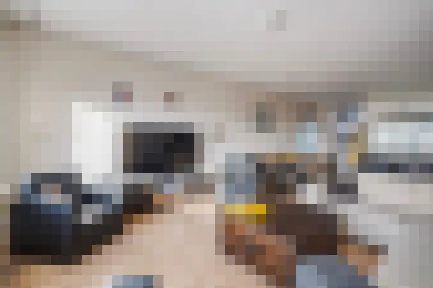 Laveibos 155 Zoetermeer thumbnail 6