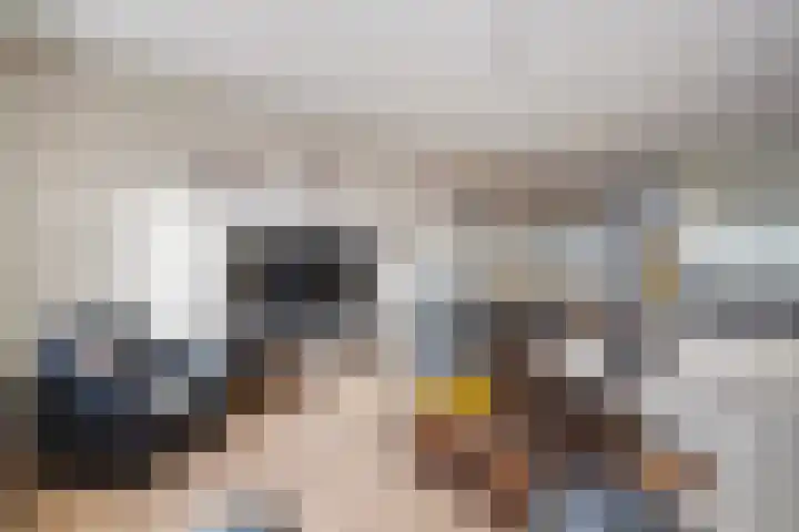 Laveibos 155 Zoetermeer thumbnail 6