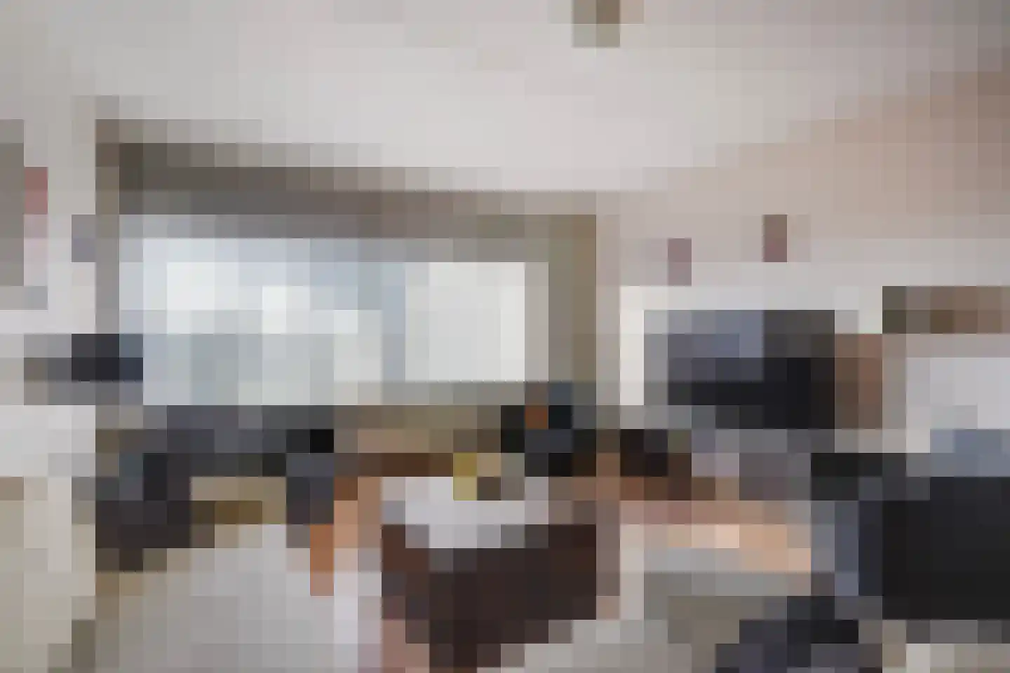 Laveibos 155 Zoetermeer thumbnail 8