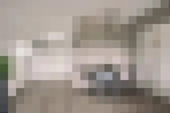 Laveibos 157 Zoetermeer thumbnail 11