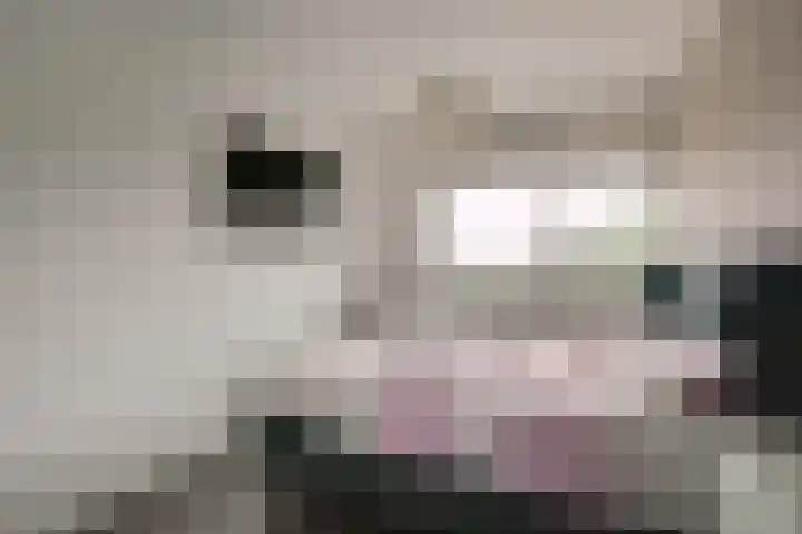 Laveibos 157 Zoetermeer thumbnail 14