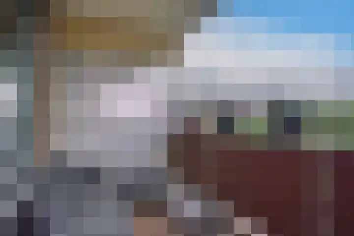 Laveibos 157 Zoetermeer thumbnail 26