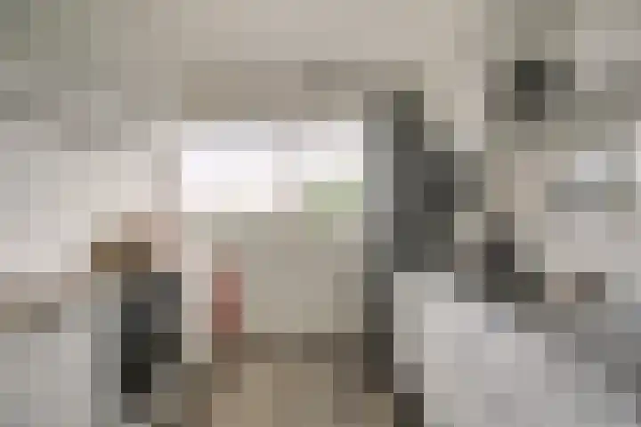 Laveibos 157 Zoetermeer thumbnail 6