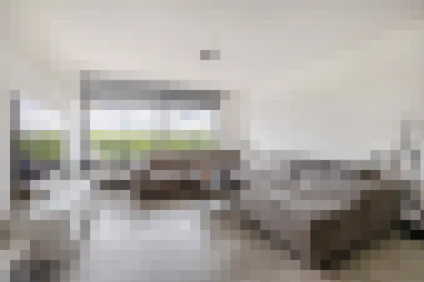 Laveibos 179 Zoetermeer thumbnail 11