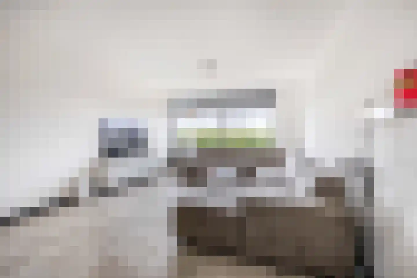 Laveibos 179 Zoetermeer thumbnail 12
