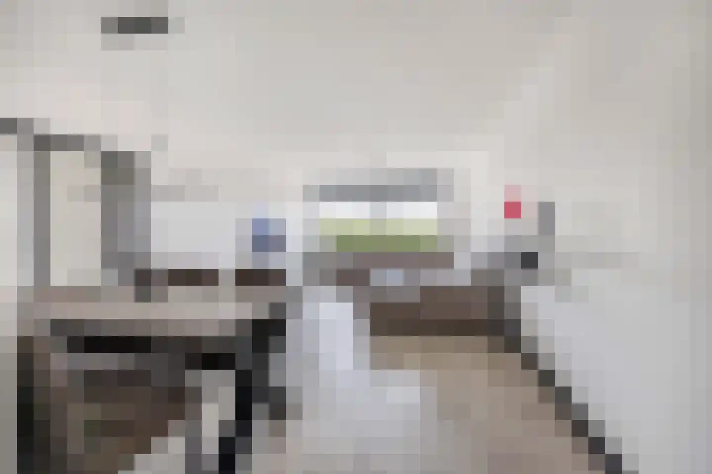 Laveibos 179 Zoetermeer thumbnail 13