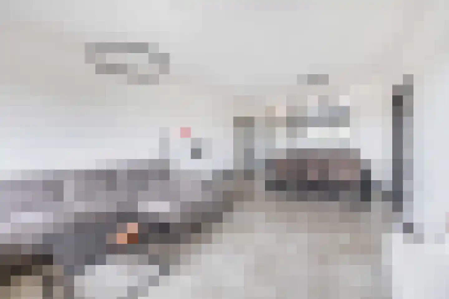 Laveibos 179 Zoetermeer thumbnail 14