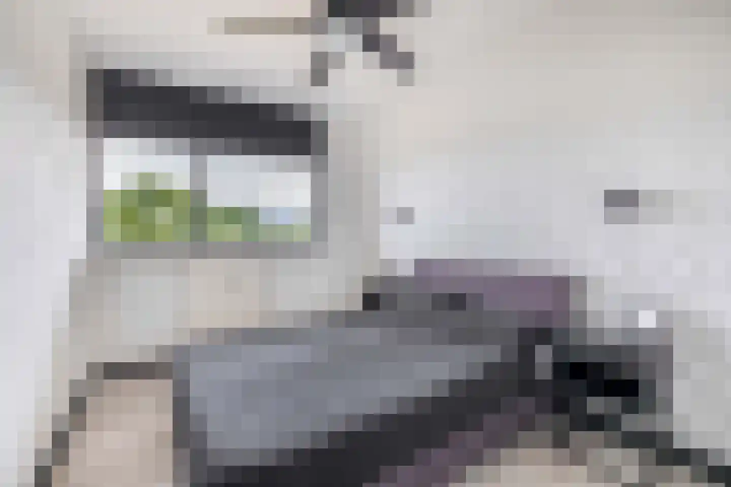 Laveibos 179 Zoetermeer thumbnail 18