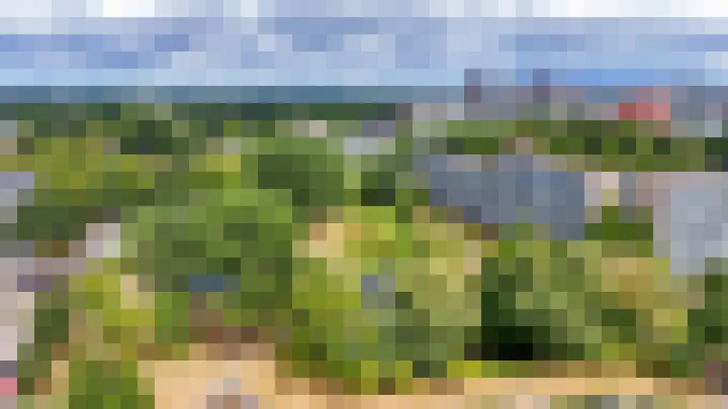 Laveibos 179 Zoetermeer thumbnail 27